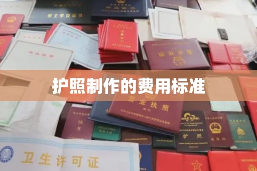 费县护照制作的费用标准