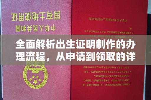 邹城全面解析出生证明制作的办理流程，从申请到领取的详细指南
